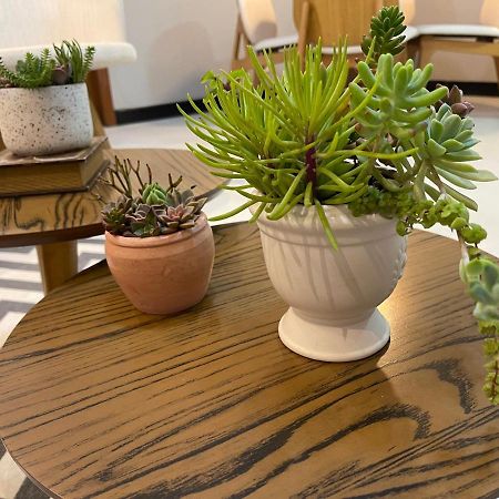 Apartamento Em Santa Teresa Santa Teresa  Εξωτερικό φωτογραφία
