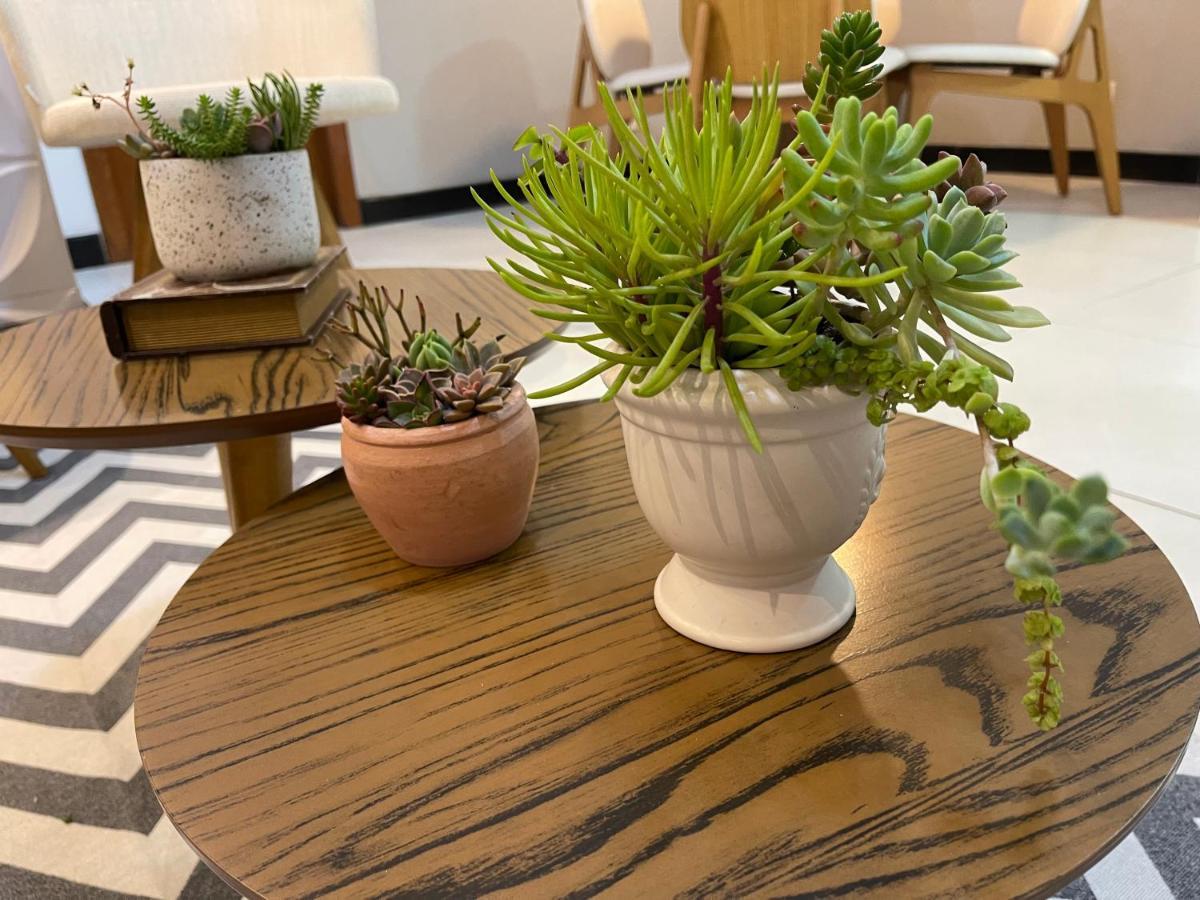 Apartamento Em Santa Teresa Santa Teresa  Εξωτερικό φωτογραφία